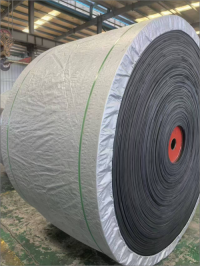 1733730689652160.png 75dafc642a7a311dfaee61fff51f8dd(1)(1)(1)(1)(1)(1).png