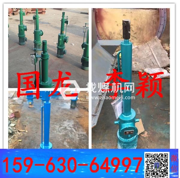 國龍-電液動推桿DYTZ2000-1400； DYTZ500-300相看兩不厭